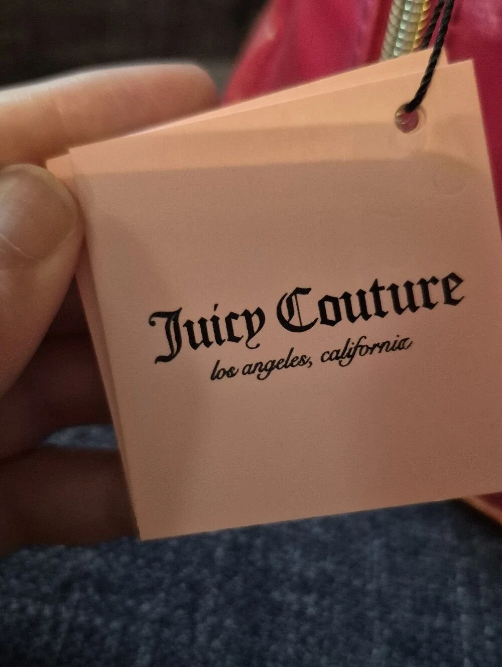 Juicy Couture Iridescent Pink to Gold Ombre Cosmetic Pouch